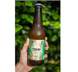 Kombuchá de Limão com Gengibre